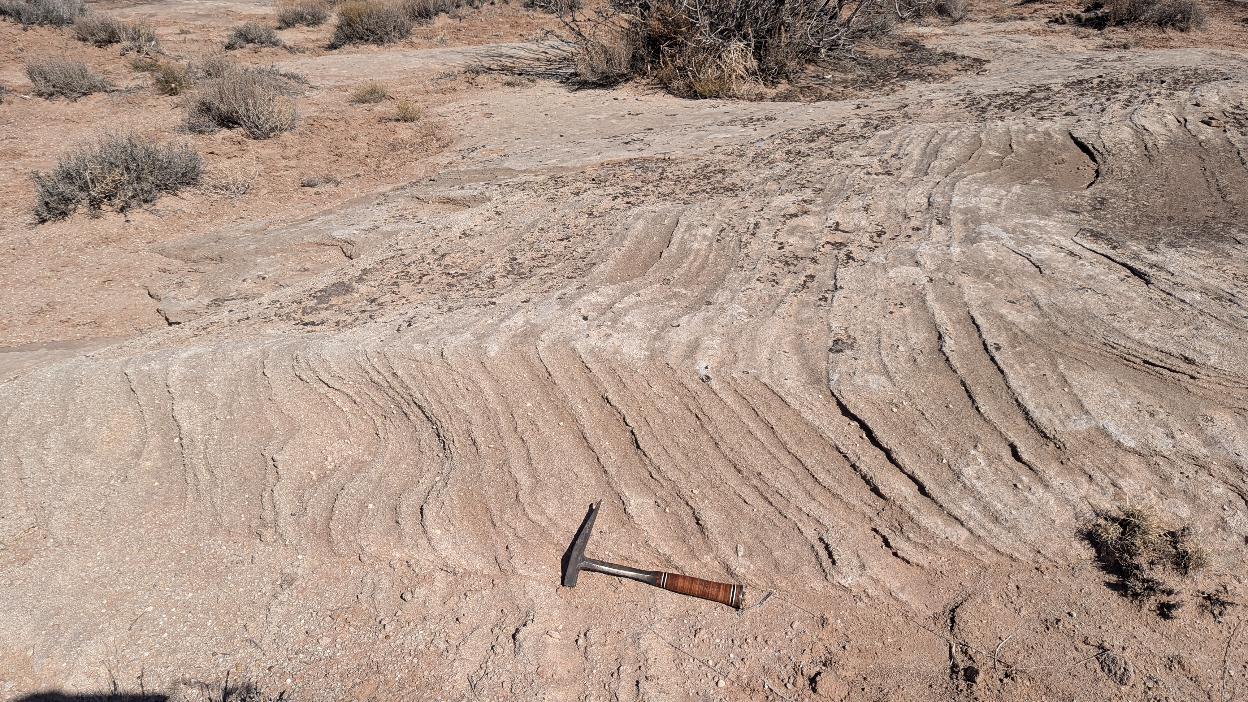 Fieldwork in Utah, March 2025