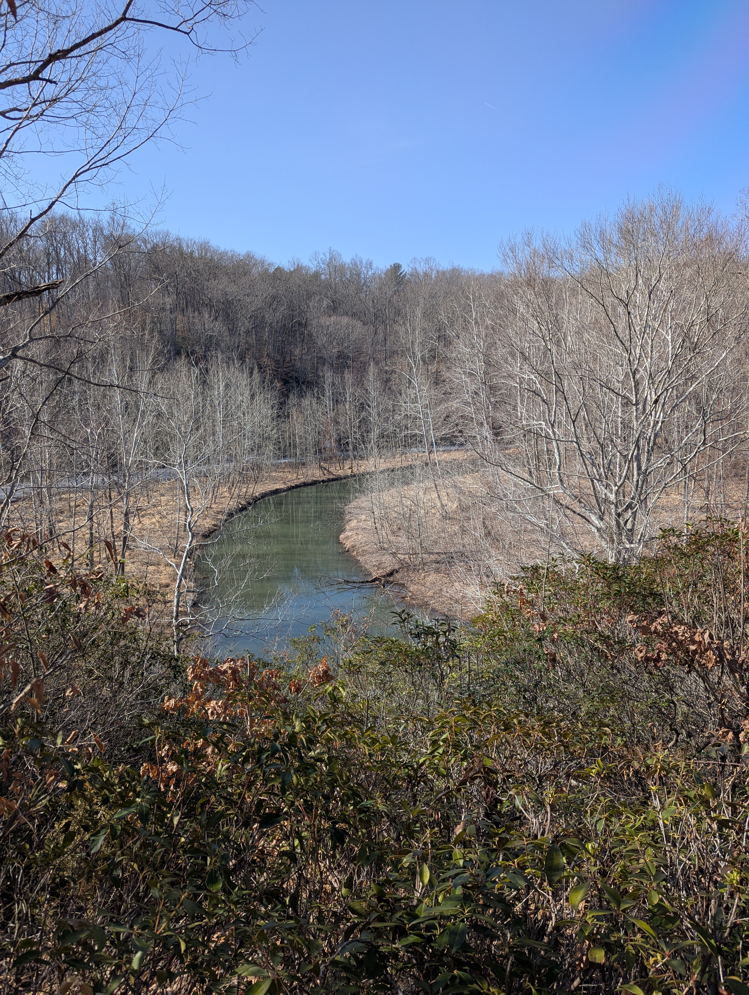 Meander in Ivy Creek.