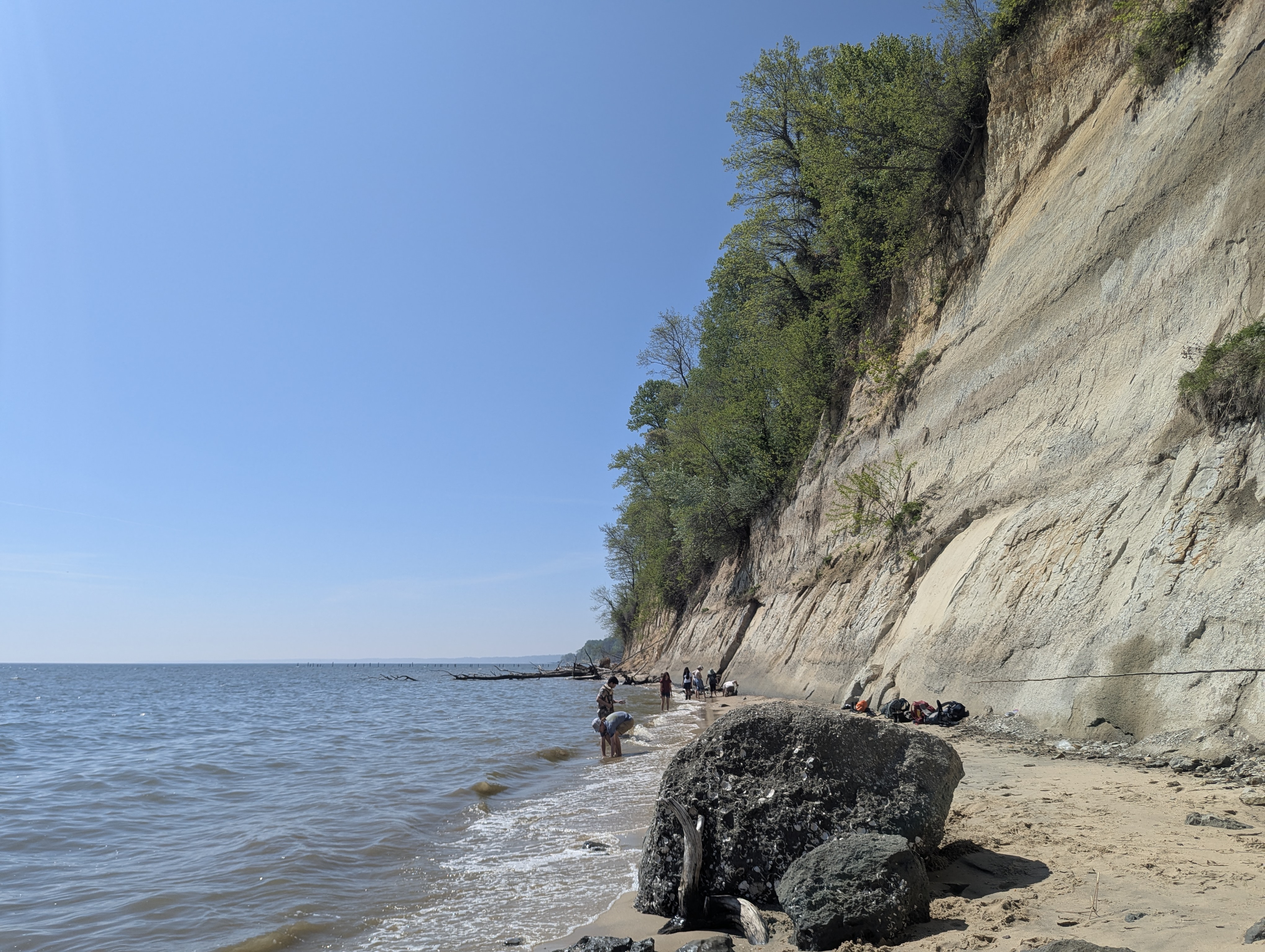 Calvert Cliffs, MD